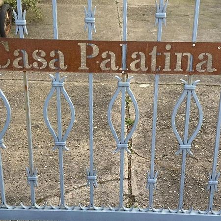 Apartamento Casa Palatina Merzalben Exterior foto