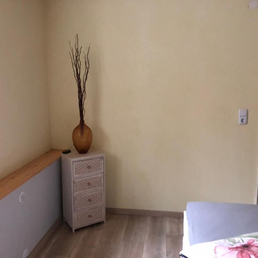Apartamento Casa Palatina Merzalben Exterior foto