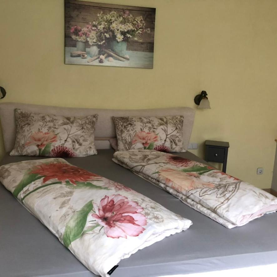 Apartamento Casa Palatina Merzalben Exterior foto